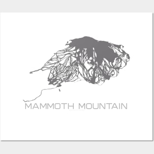 Mammoth Mountain Resort 3D Posters and Art